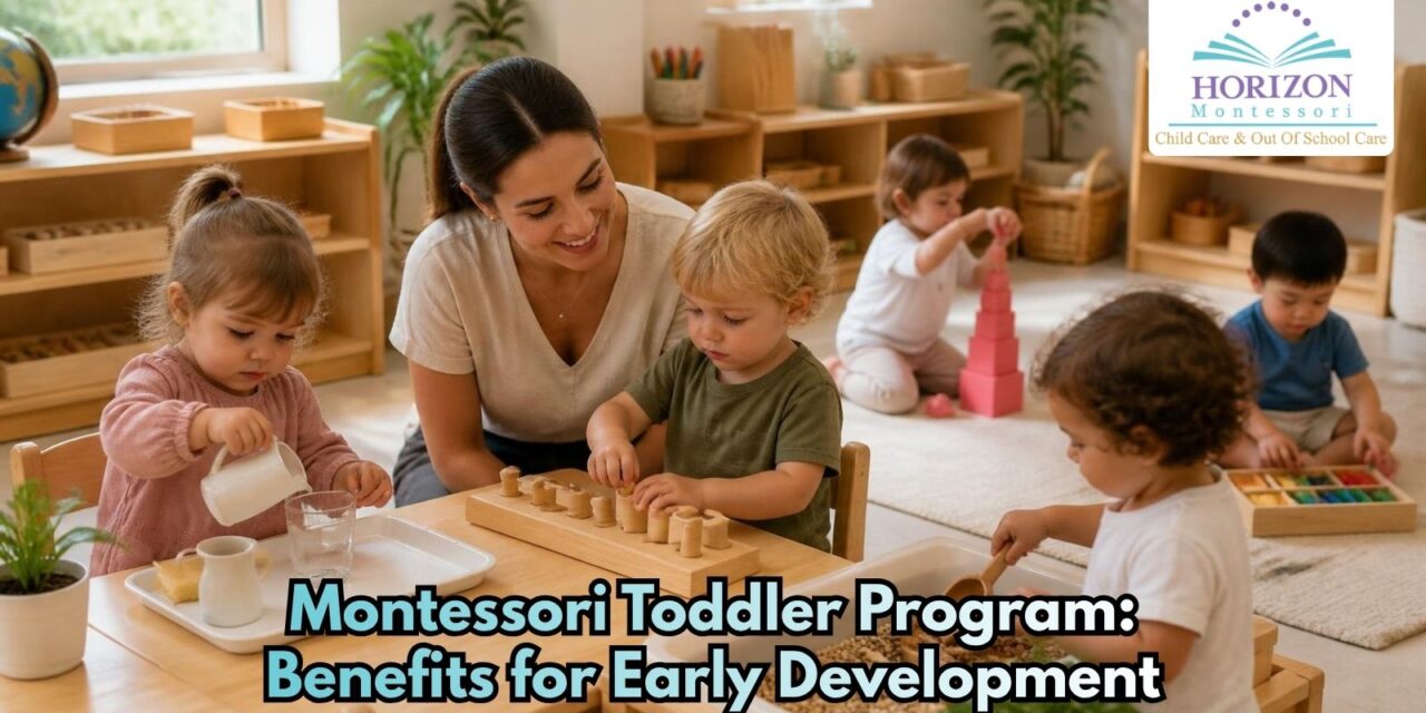 Montessori Toddler Program: Benefits for Early Development